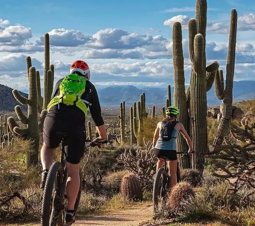 Two bike riders with cactus.