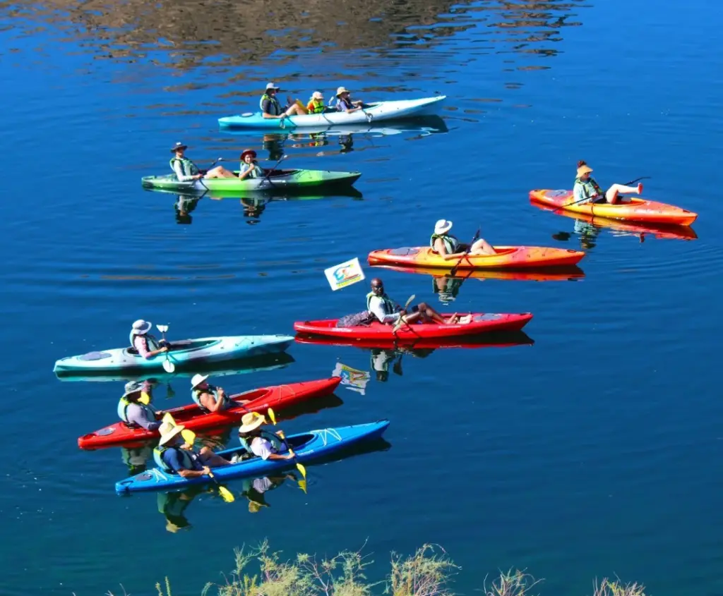 A group of kayaks on a lake.